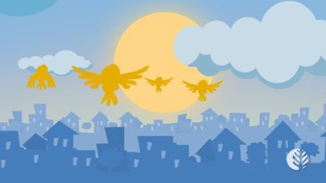 Vídeo educativo em animação 2D e motion graphics