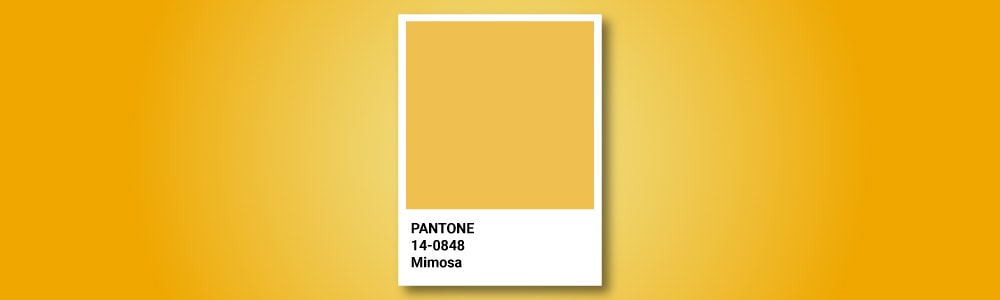 Tendências em cores nos últimos anos e para o futuro, segundo a Pantone