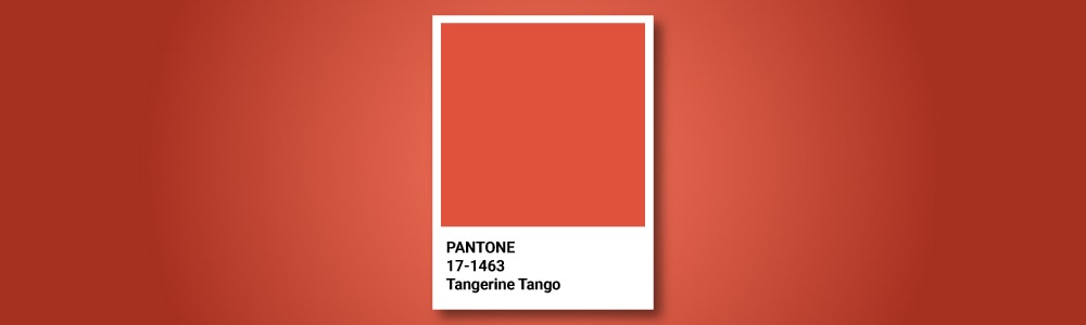 Tendências em cores nos últimos anos e para o futuro, segundo a Pantone