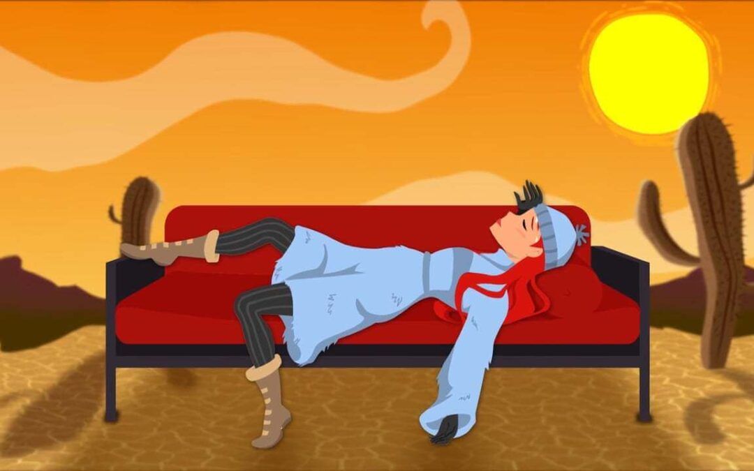 Jambo Pet Vídeo de Produto RJ